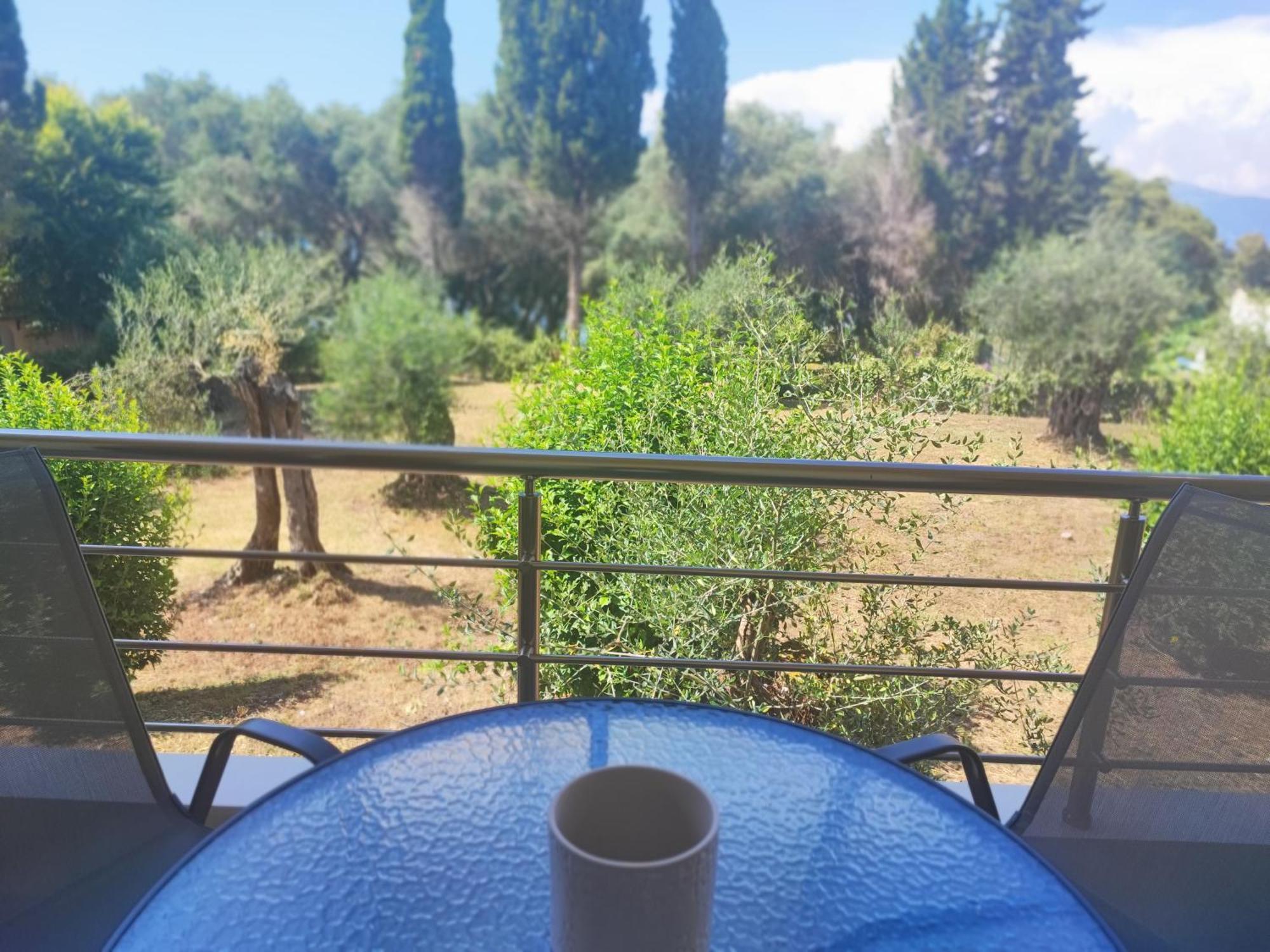 Coritos Holiday Apartments كونتوكالي المظهر الخارجي الصورة